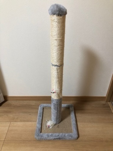 再々値下げ！！初めて猫を飼う方に！スターターセット