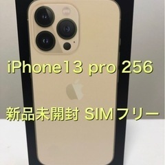 SIMフリー iphone 13 pro 256
