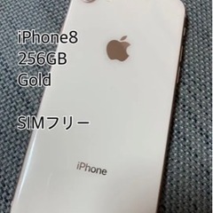 iPhone8 256GB