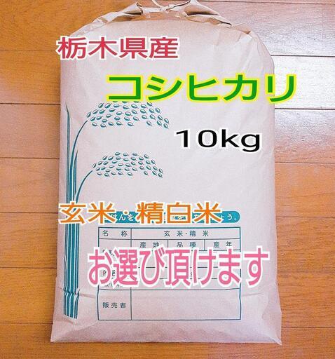 ③新米コシヒカリ10kg 令和3年度 栃木県産 www.inversionesczhn.com