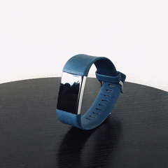 Fitbit Charge2  +替えバンド