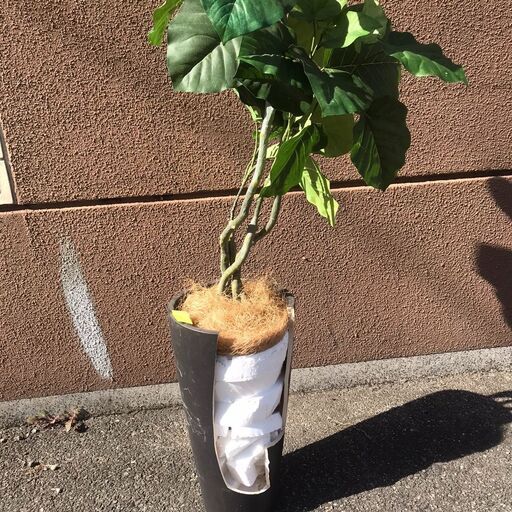 人工観葉植物 フェイクグリーン 訳アリ Clcl1010 十三の家具の中古あげます 譲ります ジモティーで不用品の処分