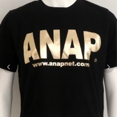 【新品・未開封品】ANAP