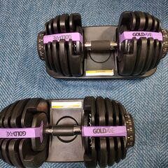 可変式ダンベル 24kg×2　フラットベンチセット