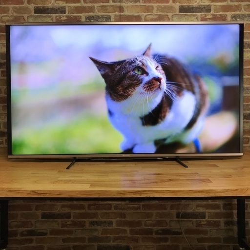 即日受渡❣️送料込Panasonic 4K65型TV  YouTubeネット動画可