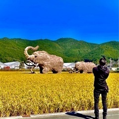 バイク①ツーリング毎月第四日曜日メンバー募集してます(*^_^*)