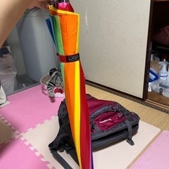 無料9.9新品　rainbow傘