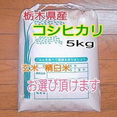 ⑥新米コシヒカリ　5kg　令和3年度　栃木県産