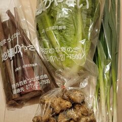 ずいき・ロメインレタス・青ねぎ・菊芋