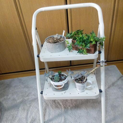 脚立ステップ台観葉植物置き やーしゃ あびこの家具の中古あげます 譲ります ジモティーで不用品の処分