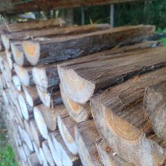 ヒノキ　乾燥済み　薪
