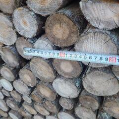 ヒノキ　乾燥済み　薪