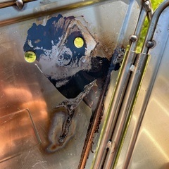 スノーピーク　焚き火台Lスターターセット+焼き網ProL+グリルブリッジL