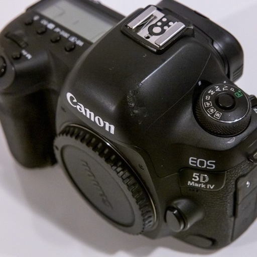 Canon EOS 5D MARK4 ボディ シャッター回数26,292回 - カメラ