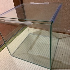 【決まりました】30cmキューブ水槽(ガラス蓋付き)