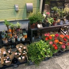 花屋のアルバイト バイト パートの求人募集情報 ジモティー