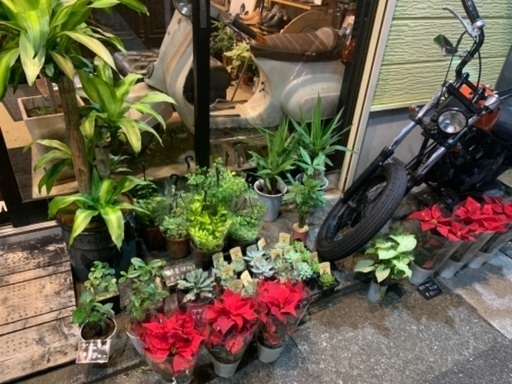 フラワーショップスタッフ Masaharuyu 志木の花屋の無料求人広告 アルバイト バイト募集情報 ジモティー