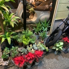 フラワーショップスタッフ Masaharuyu 志木の花屋の無料求人広告 アルバイト バイト募集情報 ジモティー