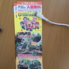 軽井沢おもちゃ王国 チケット ２枚