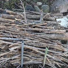 庭木伐採後の薪（小枝等）