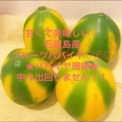 【ネット決済】石垣島産　高級フルーツパパイヤ