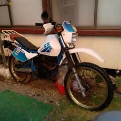 【ネット決済】SUZUKI   SX200