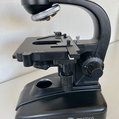 顕微鏡　無料