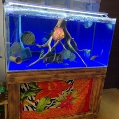 90㎝水槽　水槽台　上部フィルター　セット