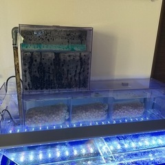 90㎝水槽　水槽台　上部フィルター　セット
