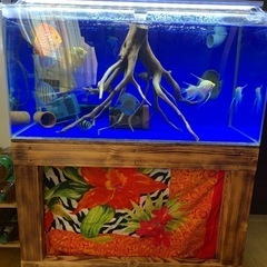 90㎝水槽　水槽台　上部フィルター　セット