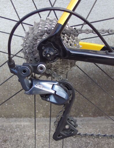 GUSTO RCR DURO Team Limited 2021 Model L Size
