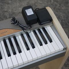 良好品 CASIO カシオ 電子ピアノ Privia プリヴィア PX-110 88鍵