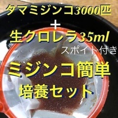 【ネット決済・配送可】タマミジンコ3000匹＋生クロレラ35ml...