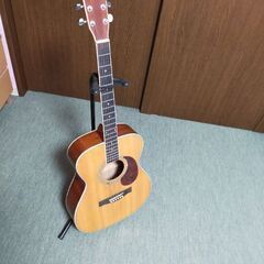 Lumber LF3NA Acoustic Guitar wit...