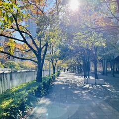 秋の大田区巡り🍁一緒に回ってくれる方募集中