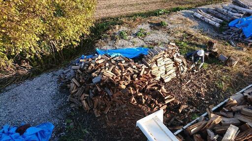 薪 5立法 家庭用 キャンプ用 焚き火用