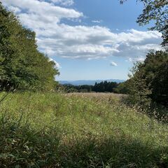 栃木県日光市で山林を借りてソロキャンプをしたい方を募集！