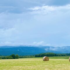 6月スタート★移住希望者★北海道で募集★