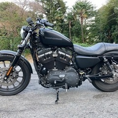 【ネット決済】HARLEY ハーレー　883nアイアン　極上車