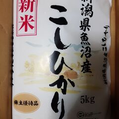 新潟県魚沼産コシヒカリ新米11kg（精米済こしひかり）11キロセット