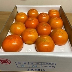 岡山県産　沢田の柿　3L 24玉
