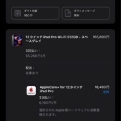 2021発売 第5世代　iPad Pro 12.9インチ　512GB