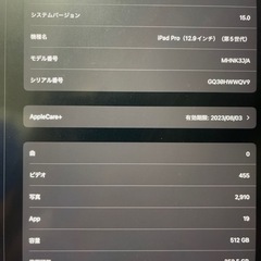 2021発売 第5世代　iPad Pro 12.9インチ　512GB