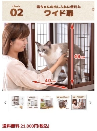 猫、木製ゲージ