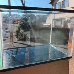 水槽　40センチ ガラス