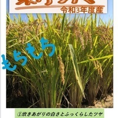 完売御礼　令和3年新米　キヌヒカリ/きぬむすめ　農家直売