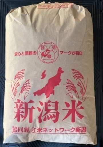 令和3年産新潟県産こがねもち玄米30kg