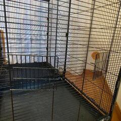 SAVIC サビッチ セパレートツインバードケージ タスマニア120