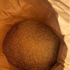 お米　新米　豊後大野市産　ヒノヒカリ　令和3年度収穫