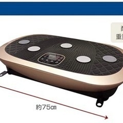 RIORES(リオレス) ブルブル振動マシン ボディーシェイカープロ 最高 